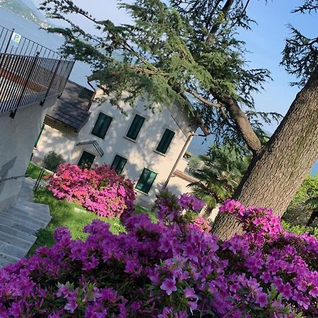 Giardini Magnolia Διαμέρισμα Belgirate Εξωτερικό φωτογραφία