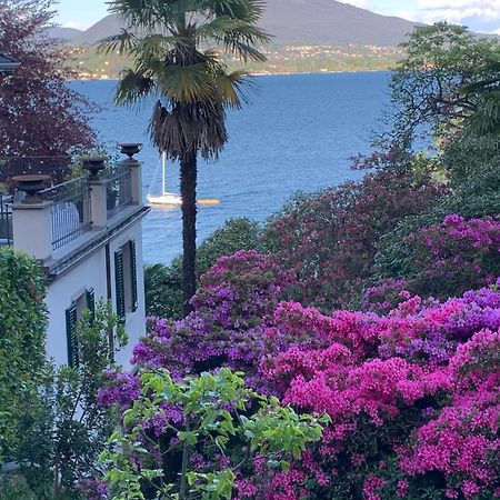 Giardini Magnolia Διαμέρισμα Belgirate Εξωτερικό φωτογραφία