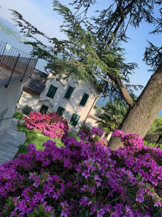 Giardini Magnolia Διαμέρισμα Belgirate Εξωτερικό φωτογραφία