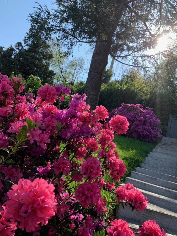 Giardini Magnolia Διαμέρισμα Belgirate Εξωτερικό φωτογραφία