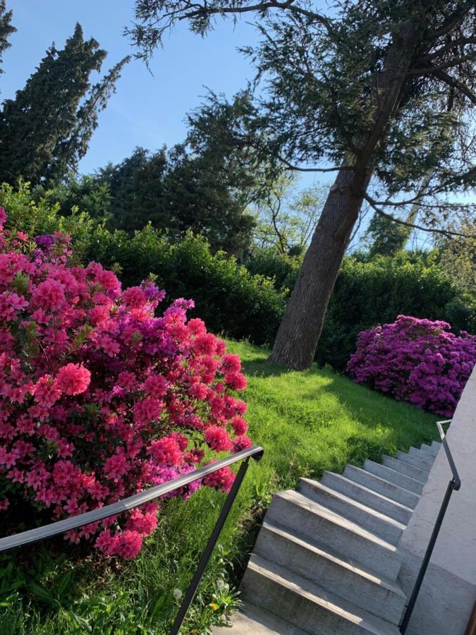 Giardini Magnolia Διαμέρισμα Belgirate Εξωτερικό φωτογραφία