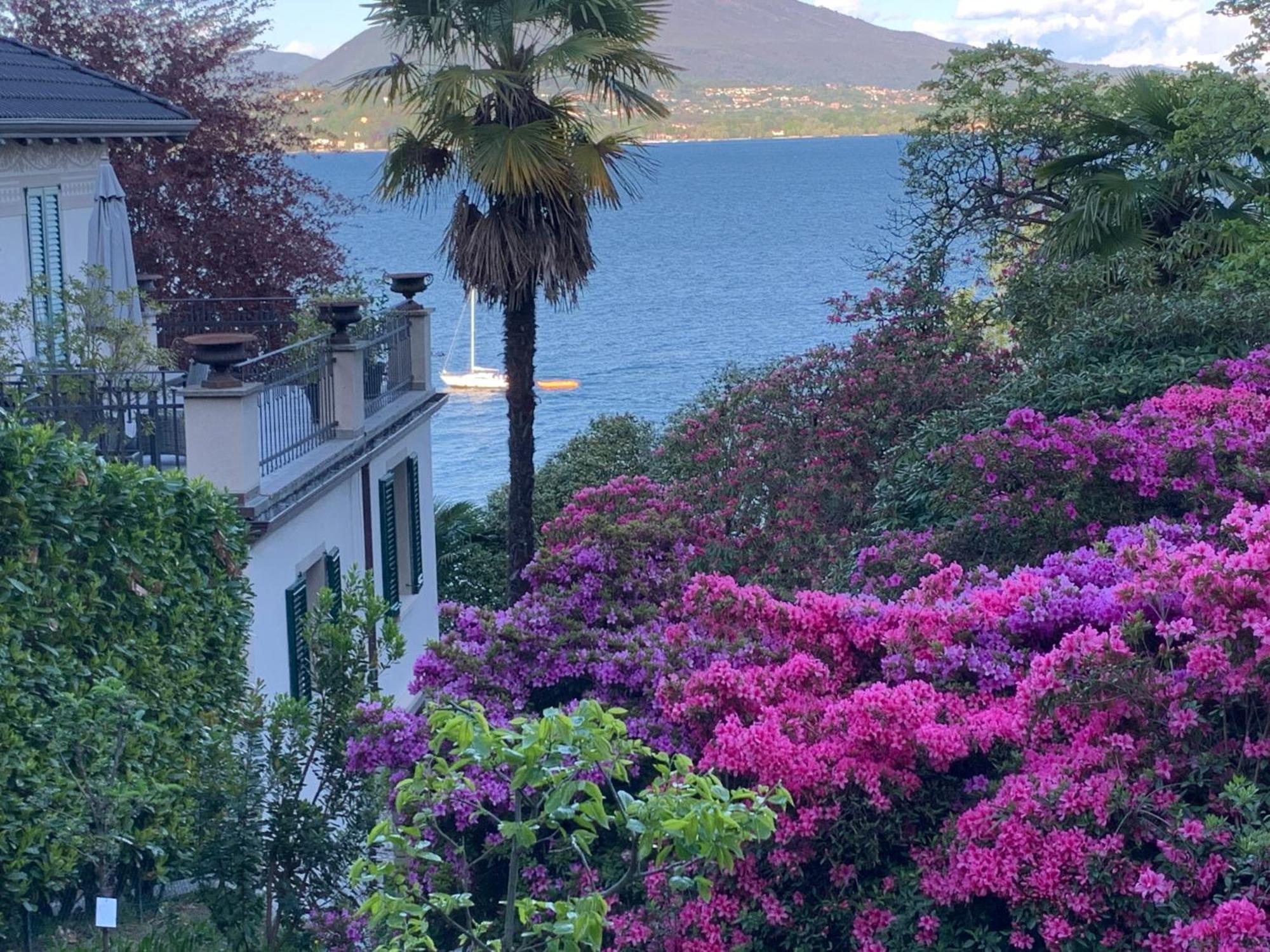 Giardini Magnolia Διαμέρισμα Belgirate Εξωτερικό φωτογραφία
